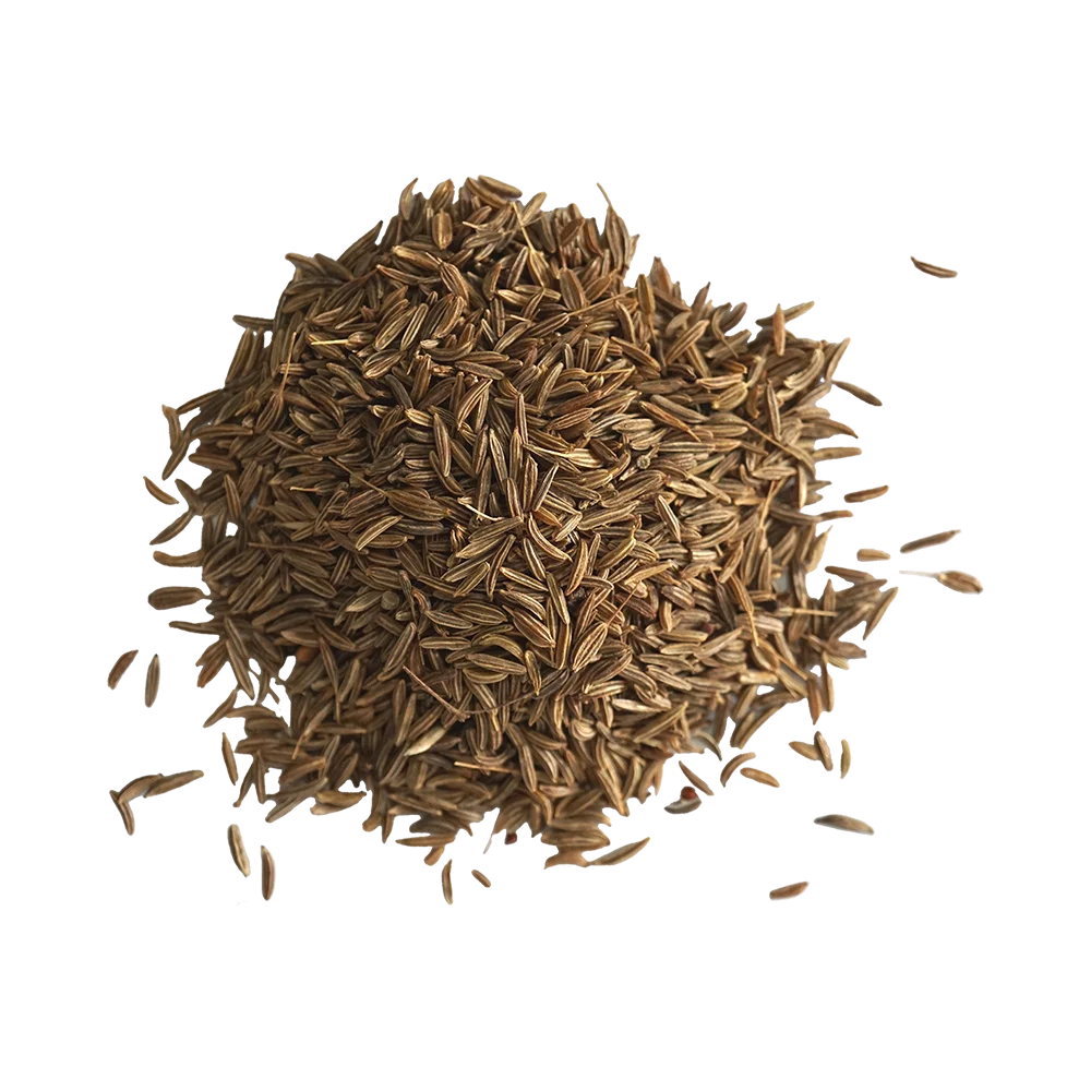 Sidomulyo_0006_Jinten