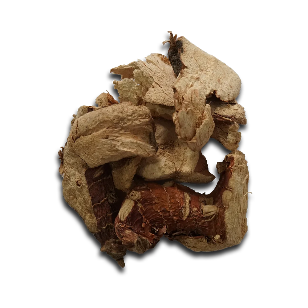 Sidomulyo_0009_Jahe-2