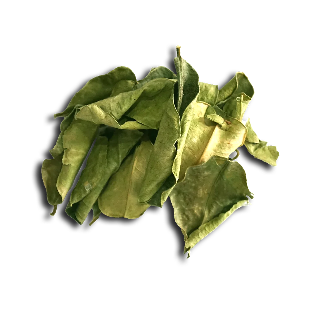 Daun Jeruk Kering