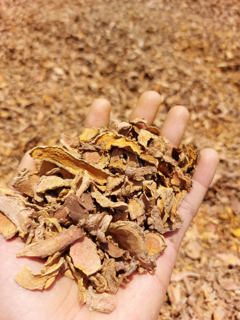 Manual Vs Machine-Sliced Turmeric: What The Cut Really Changes 1 Manual Vs Machine-Sliced Turmeric : Machine Sliced