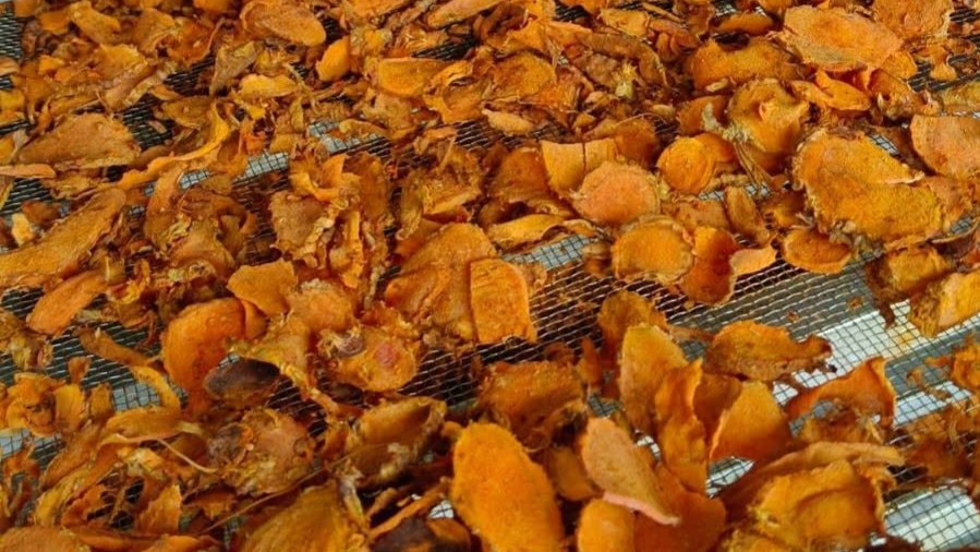 Perbandingan Grade Kunyit: Produk Pasca-Panen 4 28